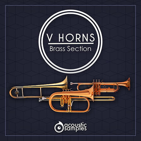 Acousticsamples VHorns Brass Section